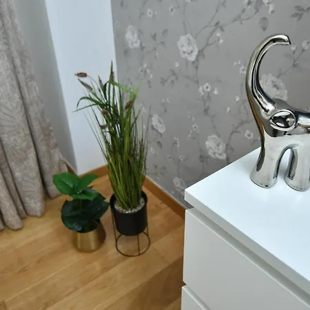 Charm Parliament View Daire *